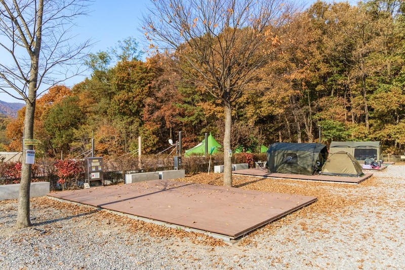 초막골생태공원 느티나무야영장 시설 사진 56