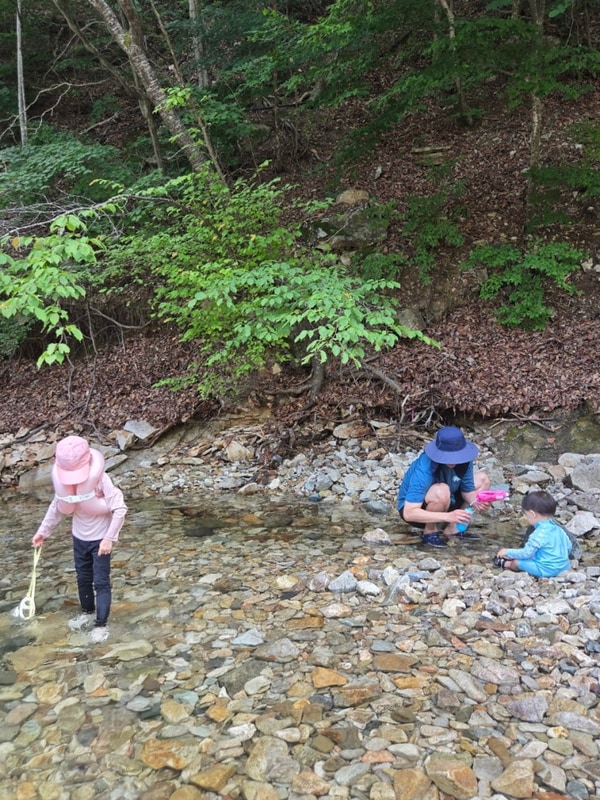 하늘숲 오토캠핑장