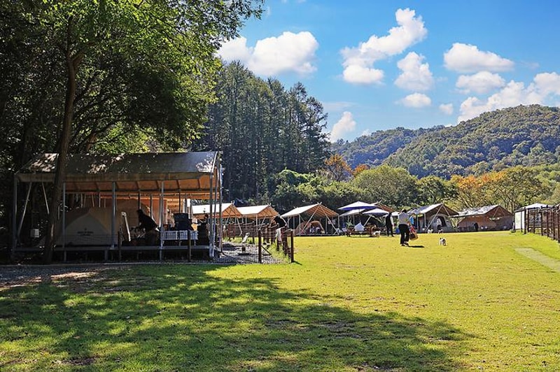 캠핑중DOG 대표 사진