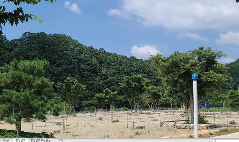 잔야캠핑 대표 사진