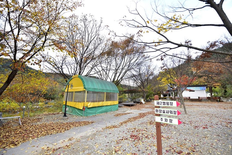 지지벨리 유명산 오토캠핑장 시설 사진 1