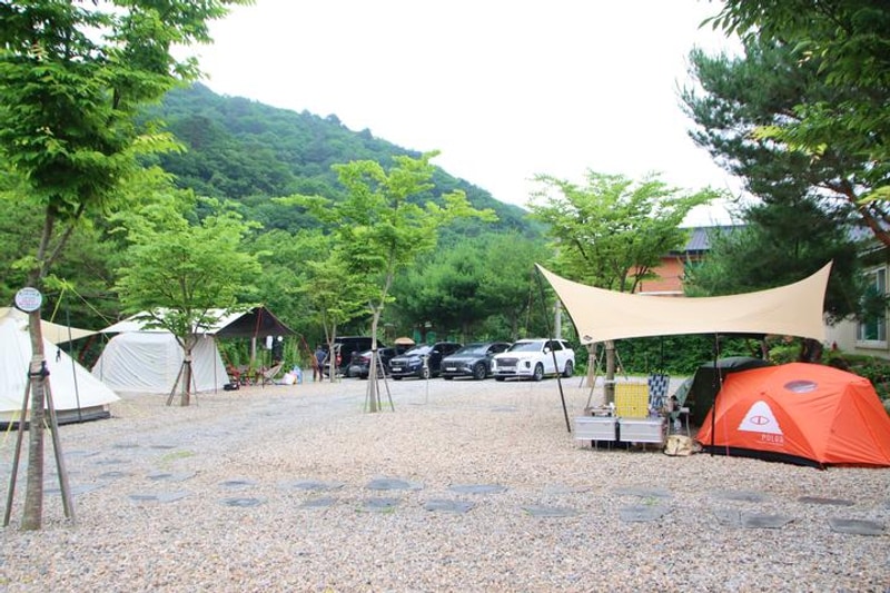 캠프 고토일 대표 사진