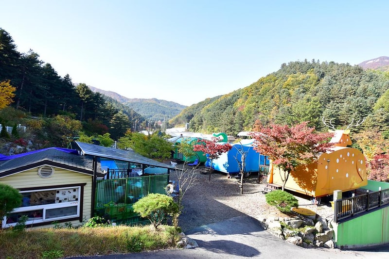 동물카라반 시설 사진 3