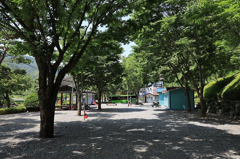 영월 솔향기 캠핑장 대표 사진