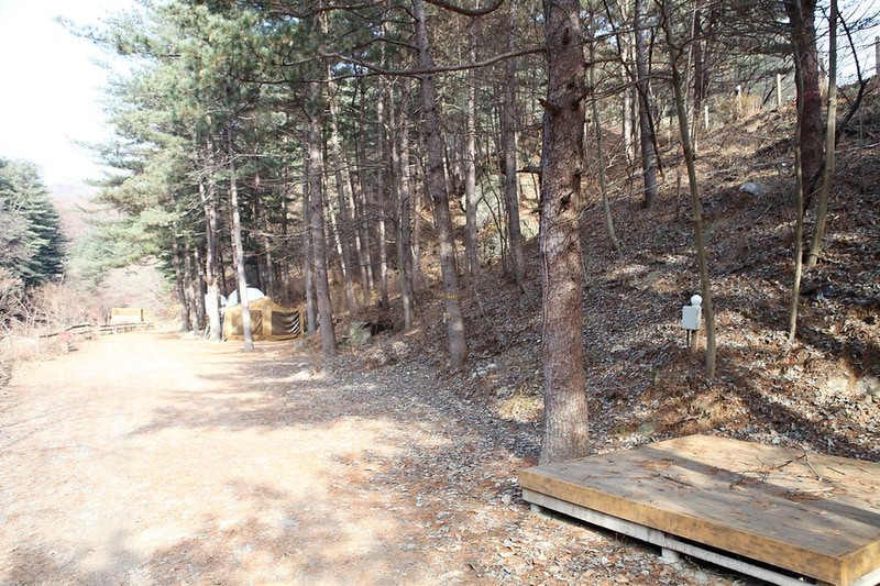(주)수동자연마을 힐링별밤수목원캠핑장 시설 사진 2