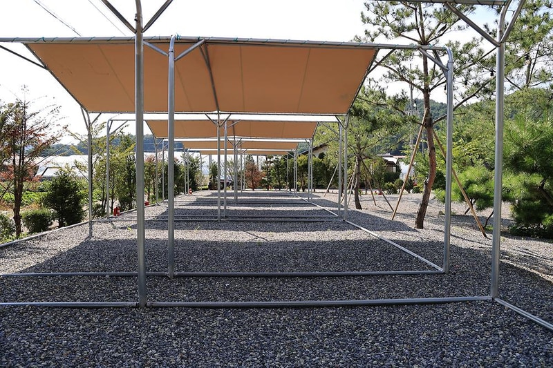 솔밭사이로 캠핑&펜션 시설 사진 4