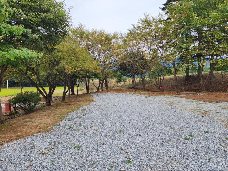 용인반딧불캠핑장 시설 사진 23