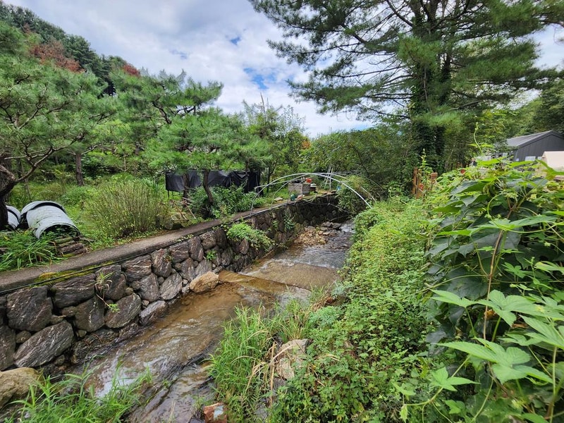 잣숲캠핑장 시설 사진 15