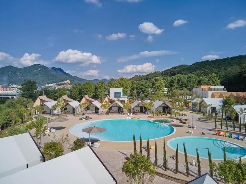 아낌없이주는나무 대표 사진