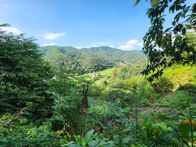 가평 오블리비아테 수영장 펜션&카라반 시설 사진 20