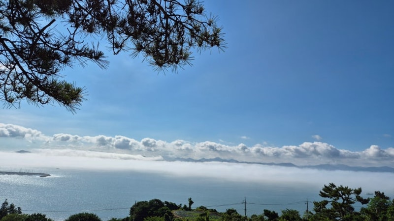 전남 보성 드림 캠핑장, 예당 습지 생태공원, 보성 녹차밭...