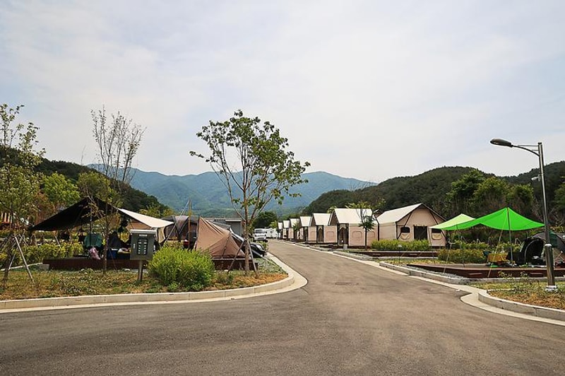 곰취향 가득한 팔랑골 캠핑장 대표 사진