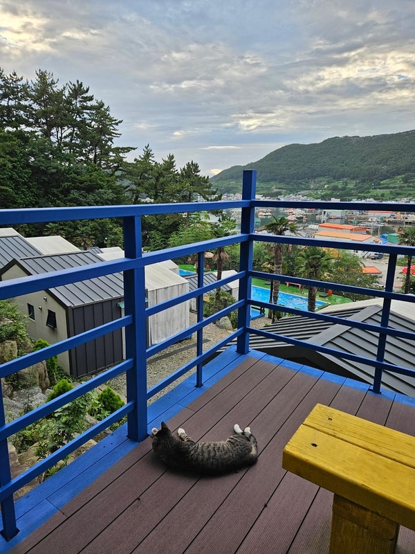 통영 편백숲길관광농원 캠핑장 시설 사진 17