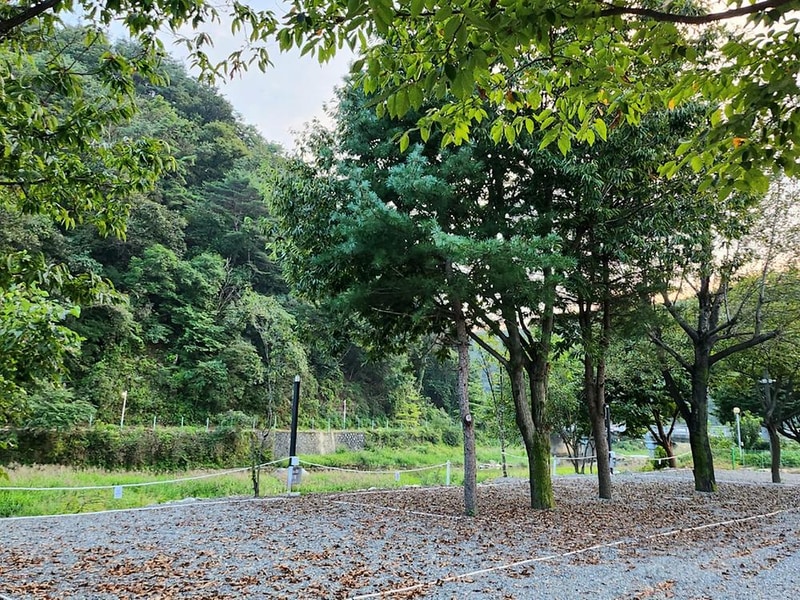 가평뷰캠핑장 시설 사진 44