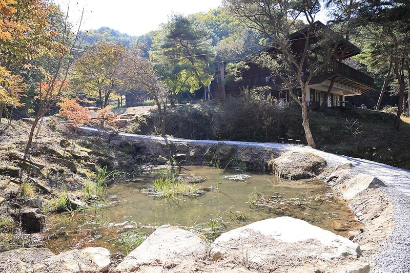 숲속행성 시설 사진 17