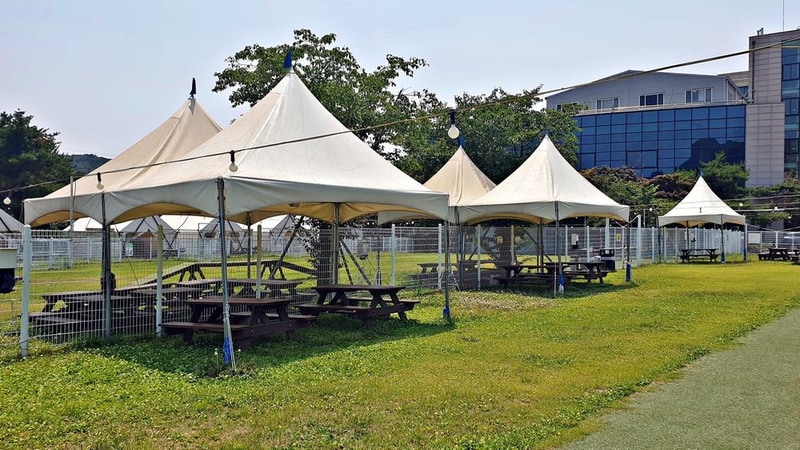 골드펫리조트 시설 사진 16