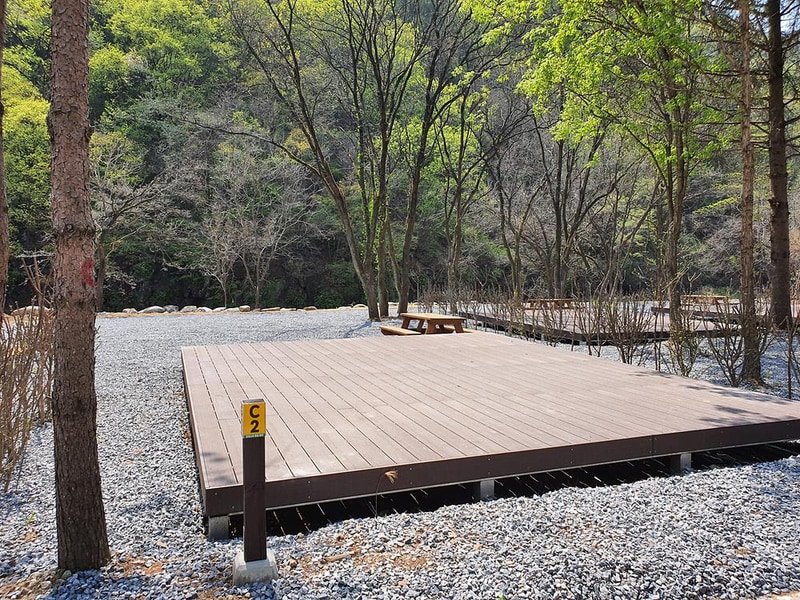 포레스트힐링캠프 시설 사진 32