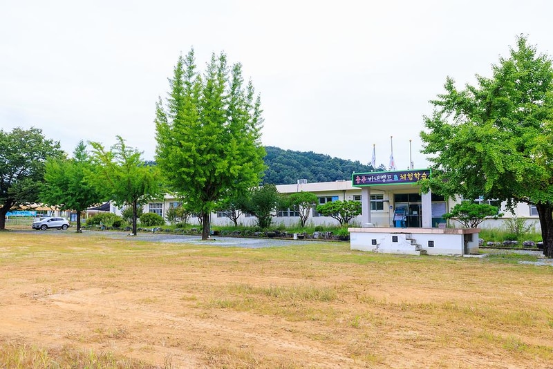 충주 비내캠프 체험학습장 시설 사진 13