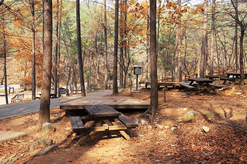 국립용화산자연휴양림 시설 사진 4