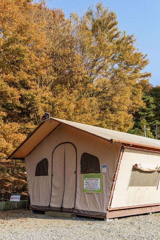 초막골생태공원 느티나무야영장 시설 사진 48