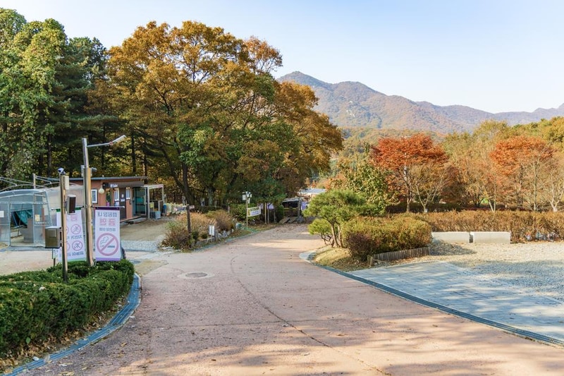 초막골생태공원 느티나무야영장 시설 사진 52