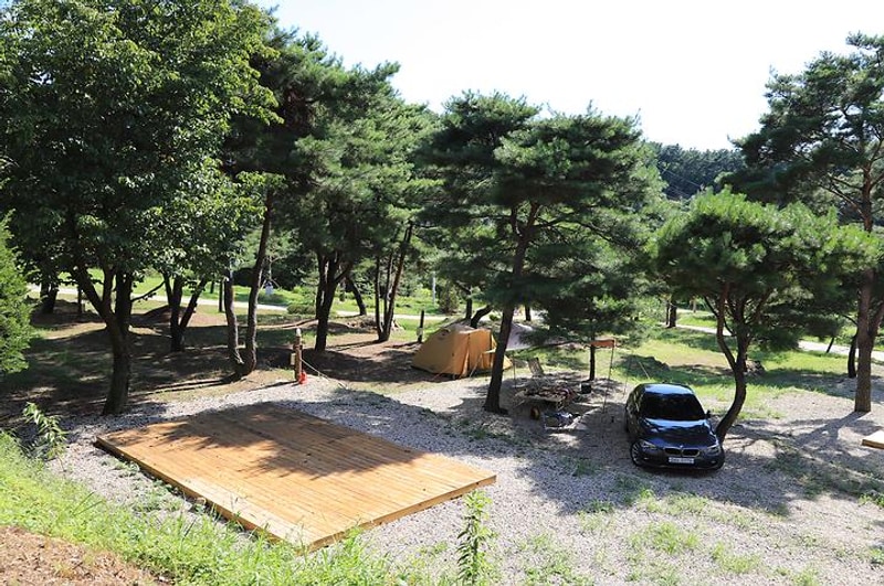 숲속의야영장 대표 사진