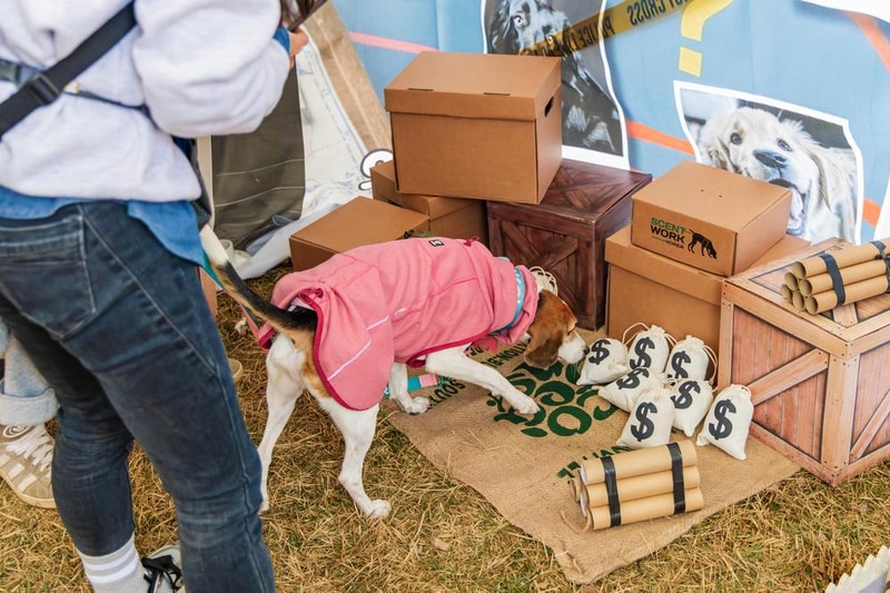 강천섬캠핑장 시설 사진 27