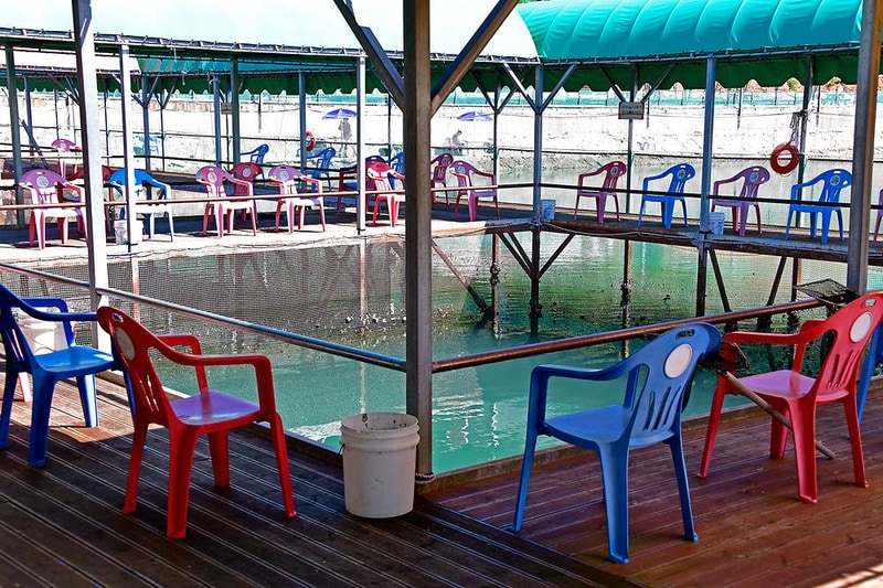 땅끝바다낚시터&글램핑 시설 사진 4