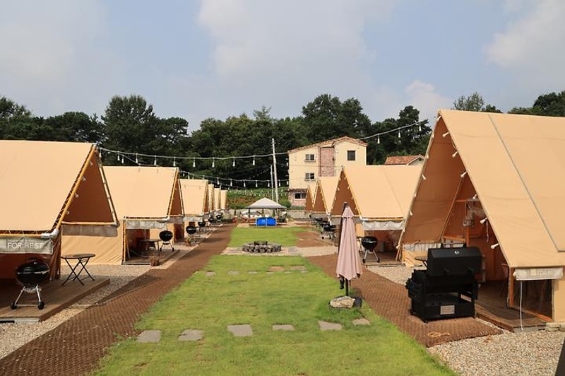 포레스트 도일 대표 사진