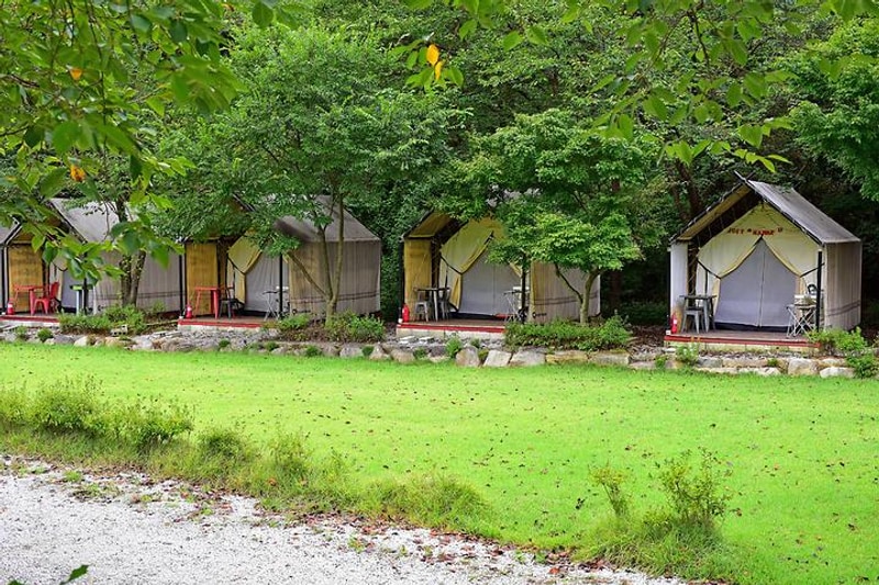 호연재 대표 사진