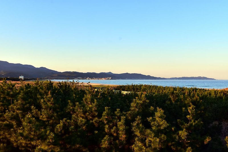 영덕 고래불 국민 야영장 시설 사진 18