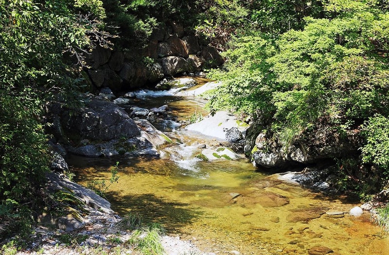 태백고원자연휴양림 자동차야영장 시설 사진 9