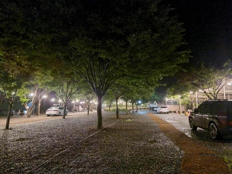 월악오토캠핑장 대표 사진