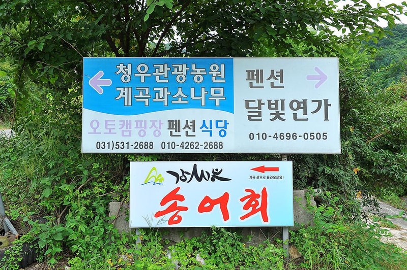 계곡과소나무 캠핑장 시설 사진 12