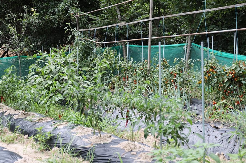 춘천하늘캠핑장 시설 사진 5