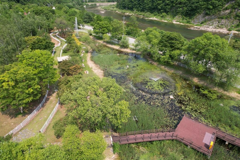 정선군생태체험학습장야영장 펫 동반 캠핑장 시설 사진 91