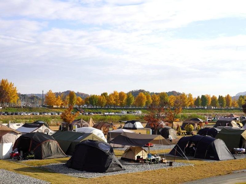 아산곡교천야영장