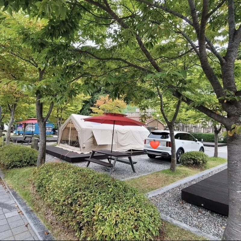봉화 청량산  캠핑장