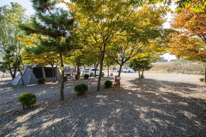 선재오토캠핑장 시설 사진 10