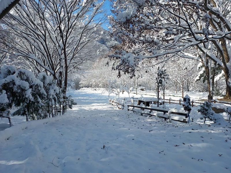 횡성산울림오토캠핑장 시설 사진 39