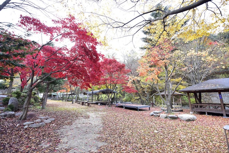 유명산밸리캠핑장 시설 사진 7