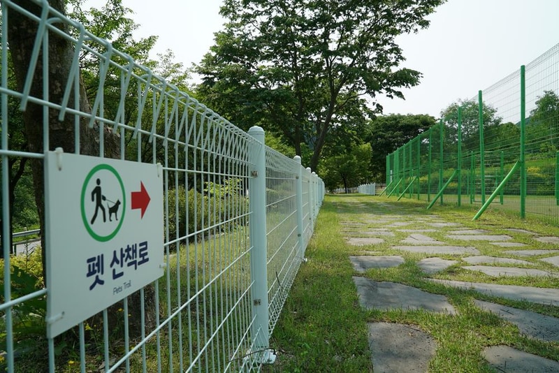 정선군생태체험학습장야영장 펫 동반 캠핑장 시설 사진 42