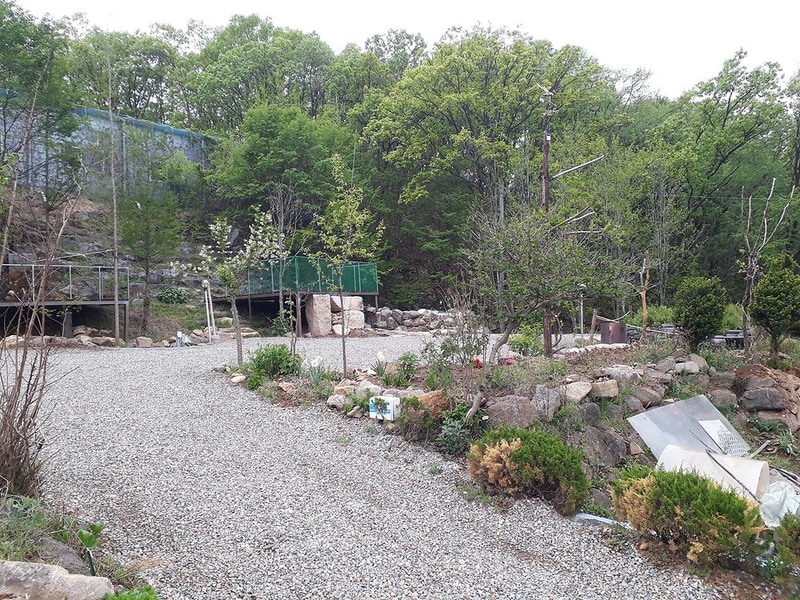 야생초마을아미골 시설 사진 4