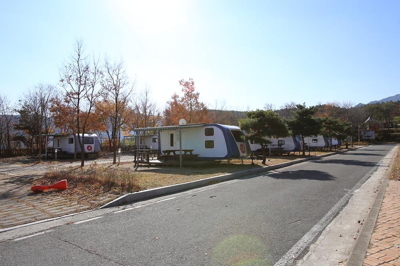 도림사오토캠핑리조트 시설 사진 35