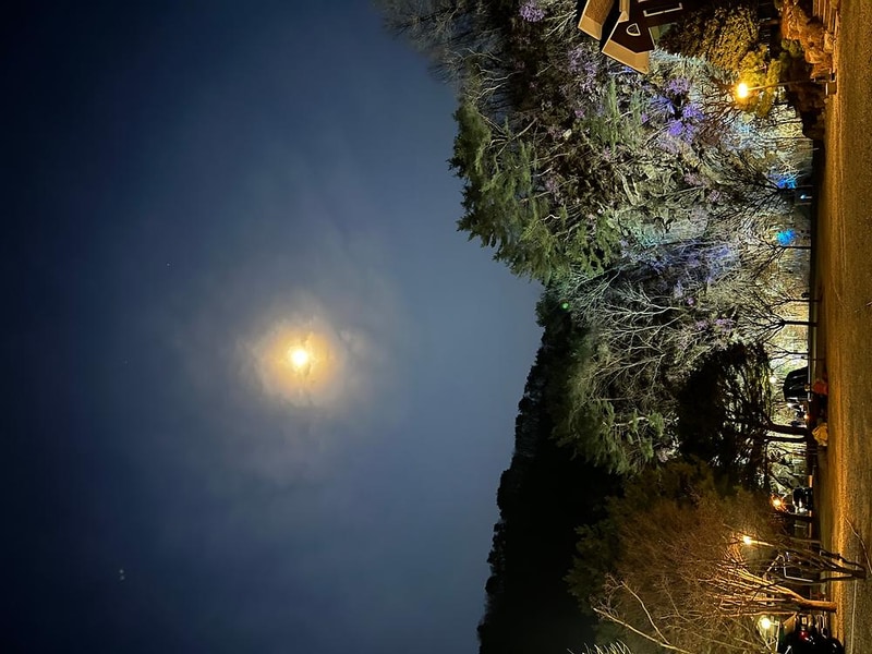 네스트캠핑장 시설 사진 6