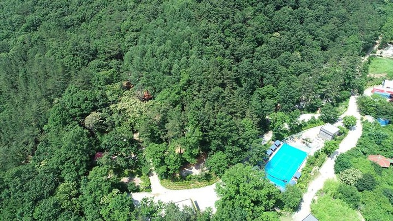 비채야영장 대표 사진