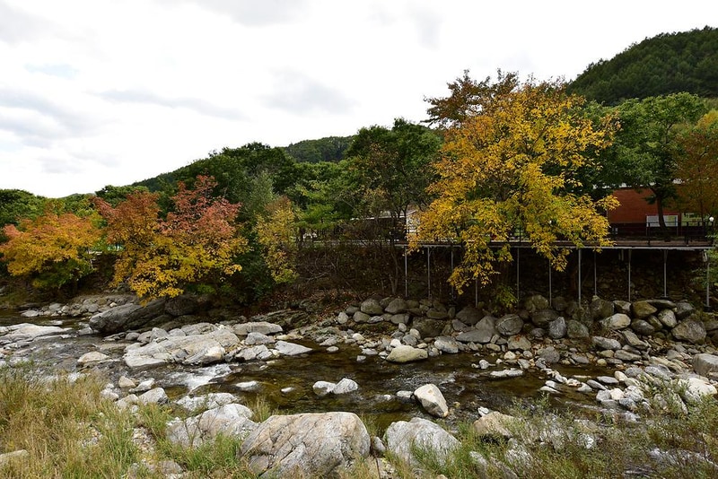 하늘땅별땅 캠핑장 시설 사진 10