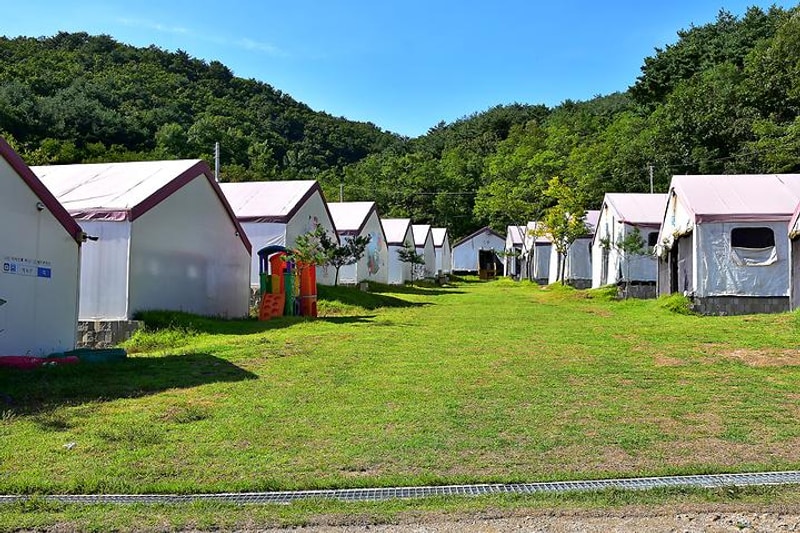 키즈글램핑GEO 대표 사진