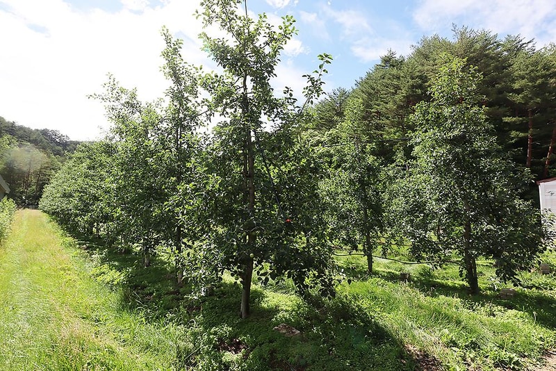 큰빛내 야영장 시설 사진 6