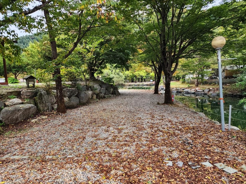 유명산밸리 캠핑장 시설 사진 10